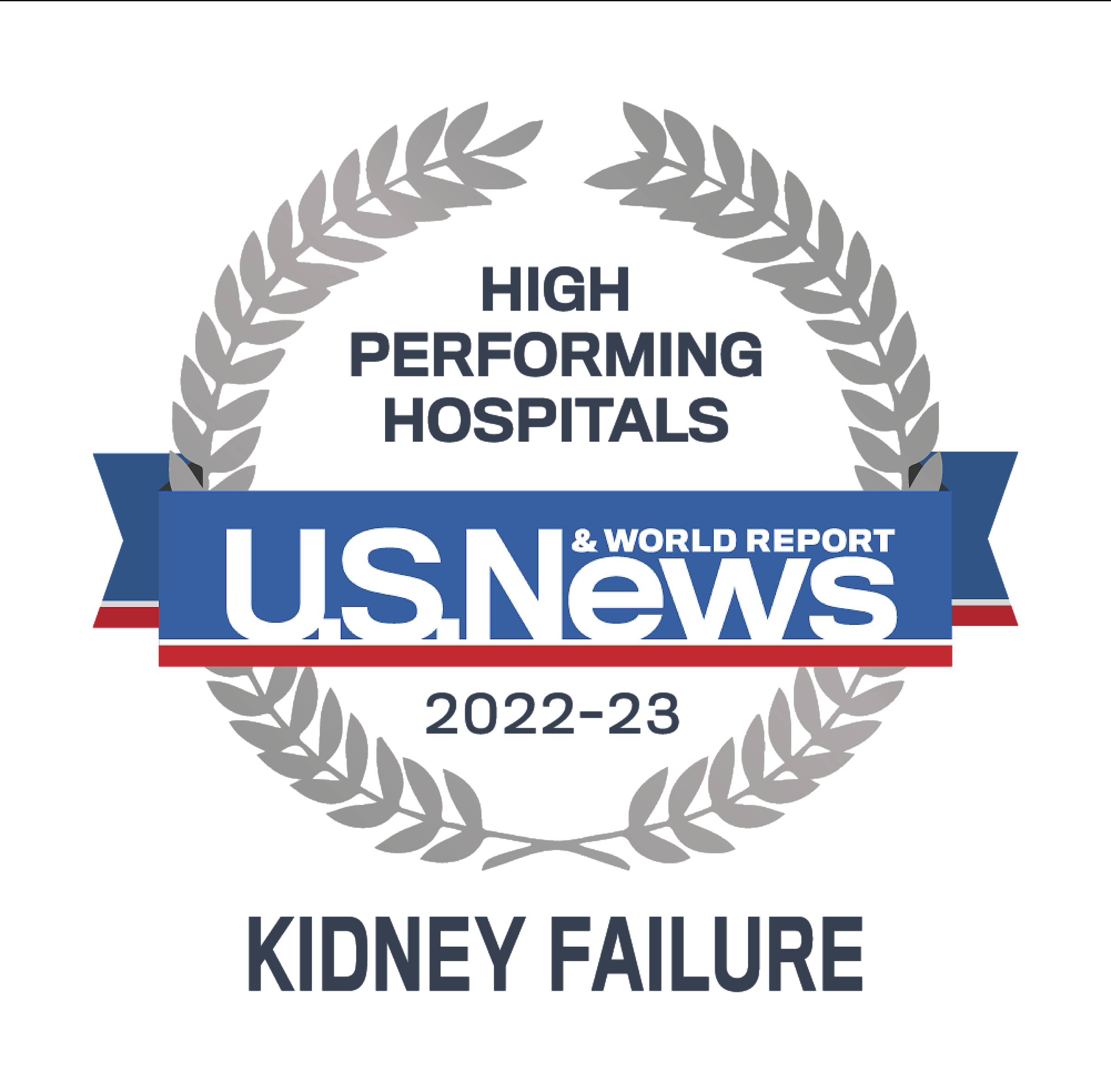 US News & World Report high performing care for kidney failure 2022-2023