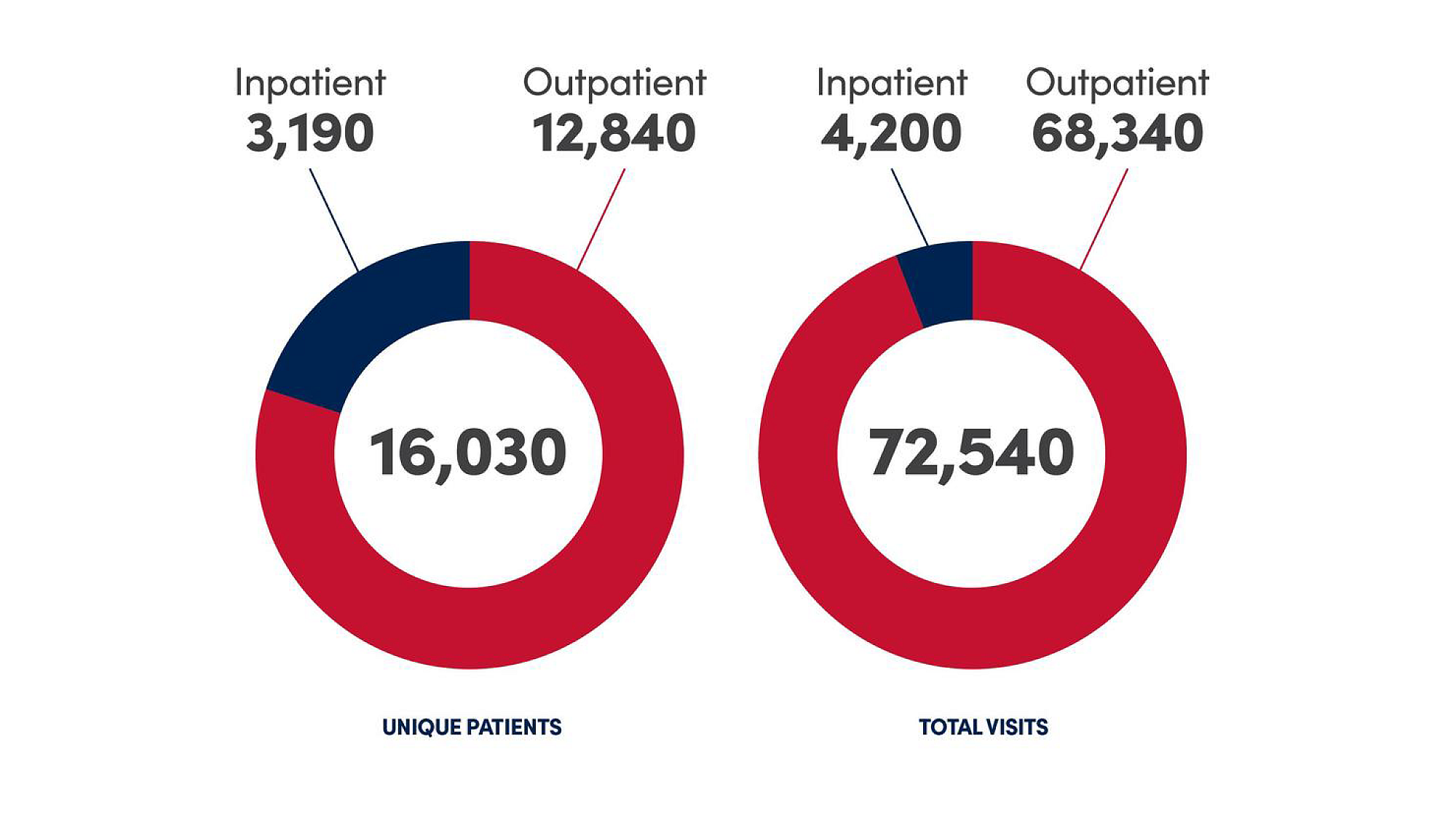 Infographic about HMHI unique patients and total visits